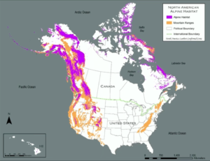 North American Alpine Habitat Map | NAGB Alpine Strategy